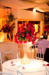 Casamento de Aline e Eduardo2260